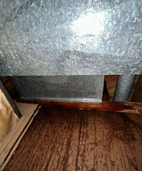 Removal Asbestos Drywall in Renton 